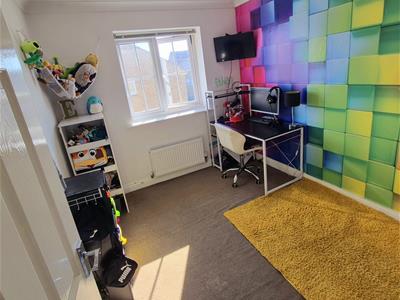 Picture 15